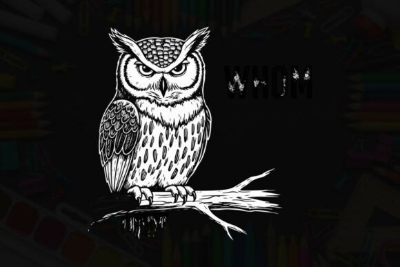 Retro Owl Graphics for T-Shirt Designs